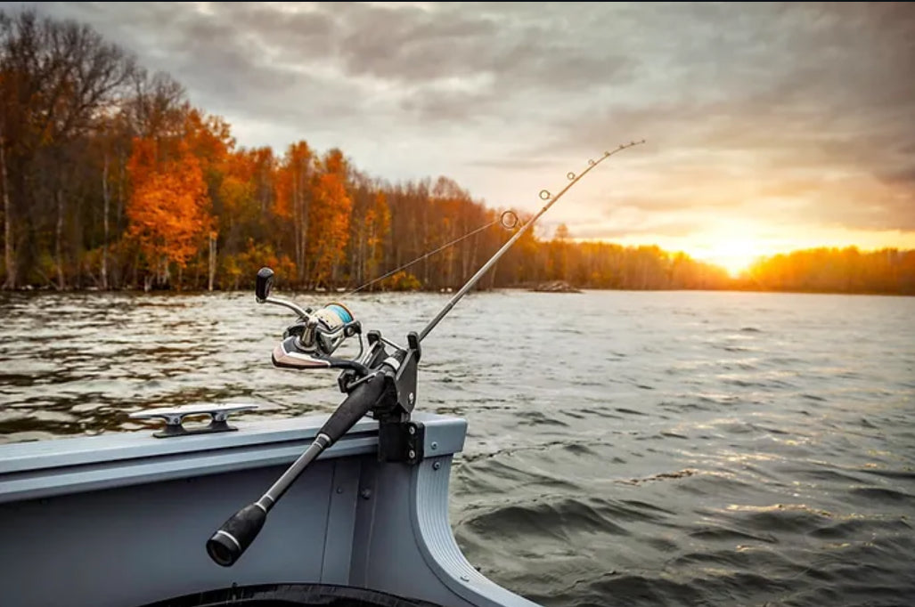 Pêche à la truite en étang : techniques et astuces pour débutants et passionnés